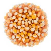 https://cn.tradekey.com/product_view/Yellow-Corn-Maize-Non-gmo-For-Human-Consumption-Usa-Origin--10264859.html