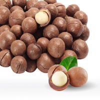 Wholesale Macadamia Nuts - Premium Quality - Best Prices.