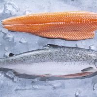 Premium Frozen Salmon Fillets, Whole Pink Salmon Fish, Salmon heads and bellies for sale