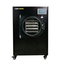 Home Freeze Dryer Drying Machine with Oil Less Pump Lyophilizer Machine