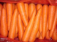 Carrot