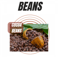 Cocoa Beans, Cocoa Powder, Cocoa Butter, Cashew Nuts And Coffee Beans