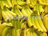 Cavendish Banana Available... From India