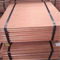 Purity Copper Cathode