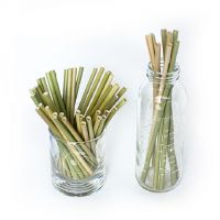 Seagrass drink straw