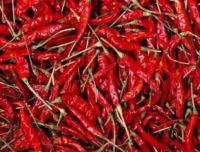 Dry Red Chilly