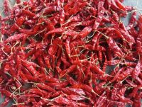 Dry Red chilly