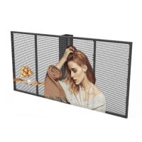 Transparent Indoor Strong Reliability LED Display