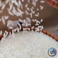 Jasmine Rice 5% Broken Made In Vietnam Best Rice Export In Vietnam Long Grains Rice