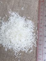 St25 Rice High Quality In Viet Nam Exporter Specialty 100% Organic Long Grain St25 Best Of Rice