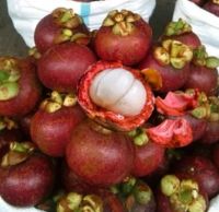 Mangosteen