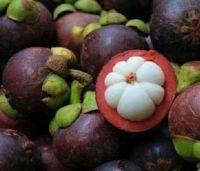 mangosteen