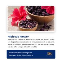 HIBISCUS FLOWER