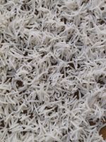 Basmati Rice - Sella