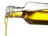 High Quality Cold Press Extra Virgin Olive Oil Bulk Sale From Netherlands