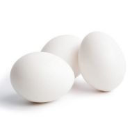 Best Quality Fresh Brown Table Chicken Eggs Cheap Fresh Chicken Table Eggs Fresh Chicken In Bulk Brown Eggs