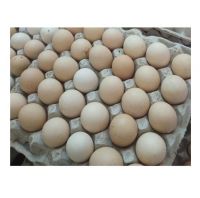 Best Quality Fresh Brown Table Chicken Eggs Cheap Fresh Chicken Table Eggs Fresh Chicken In Bulk Brown Eggs