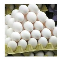 Best Quality Fresh Brown Table Chicken Eggs Cheap Fresh Chicken Table Eggs Fresh Chicken In Bulk Brown Eggs