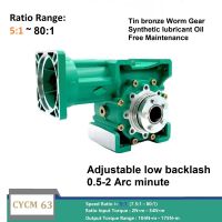 CHENYUE Adjustable Backlash 0.5-2 Arc Minute Worm Gearbox CYCM63 Input shaft 14/19/20/22/24 Output 30 Speed Ratio from 5:1 to 80:1 Free Maintenance