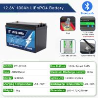 12V 24V Long Life LiFePO4 Rechargeable Li-Ion Storage Prismatic 12V 100Ah Lithium Ion Battery LiFePO4 Battery