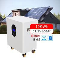 Wall-Mounted LiFePO4 Solar Battery 48V 300Ah 15kWh | High-Capacity Lithium PowerWall for Home Energy Storage System From China
