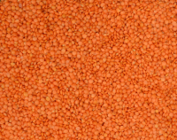 Green lentils, Yellow lentils, Red lentils