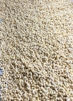 VIETNAM CASHEW KERNELS AGRIBETTER WITH PREMIUM QUALITY AT CHEAP PRICE