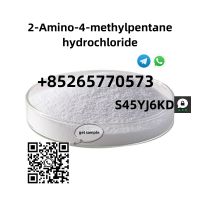 Safe Shipping  2-Amino-4-methylpentane hydrochloride cas 71776-70-7