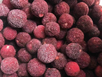 Frozen fruit Waxberry fruit fresh Waxberry dice