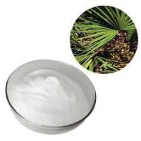 Saw palmetto P.E./Saw Palmetto Fruit Extract