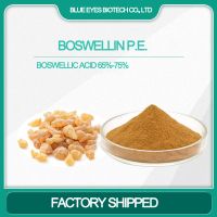 Boswellin Extract / Boswellin P.E.