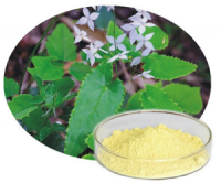 Epimedium P.E. / Epimedium Extract