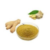 Ginger P.E. Ginger extract