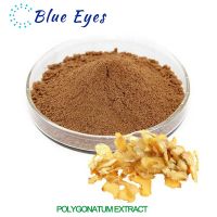 Polygonatum extract/Solomonseal Rhizome P.E.