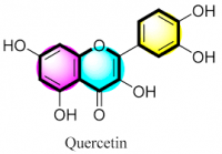 Quercetin powder 95% Sophora japonica flower extract