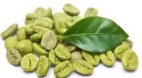 Water Soluble Green Coffee Bean Extract Green coffee P.E  Chlorogenic acid 