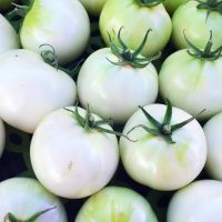 Ice Crystal Tomato Extract