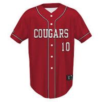 Baseball jersey