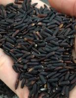 Organic Black Rice 