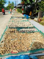 Dried Sea Cucumber 447549837432