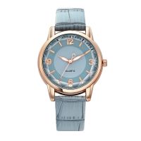 Quartz Women's Watch, Two-color Dial Belt Women's Watch Creative Watch