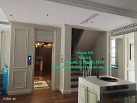 Stainless steel home lift From China