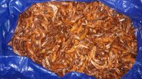 Dried Fishes ( Shrimps