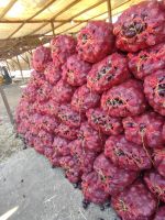 Potatoes, Red Onions, Garlic, And Citrus Fruits.