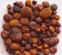 Ox Gallstone For Sale