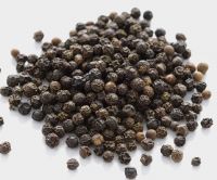 Black Pepper