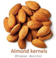 ALMOND NUTS