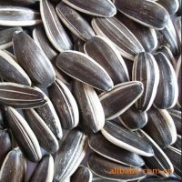 ORGANIC HIGH-QUALITY SUNFLOWER SEEDS