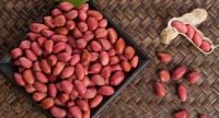 High-protein Natural Peanuts Available For Sale