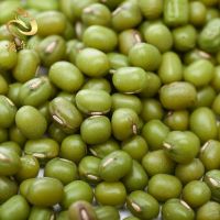 Green Mung Beans